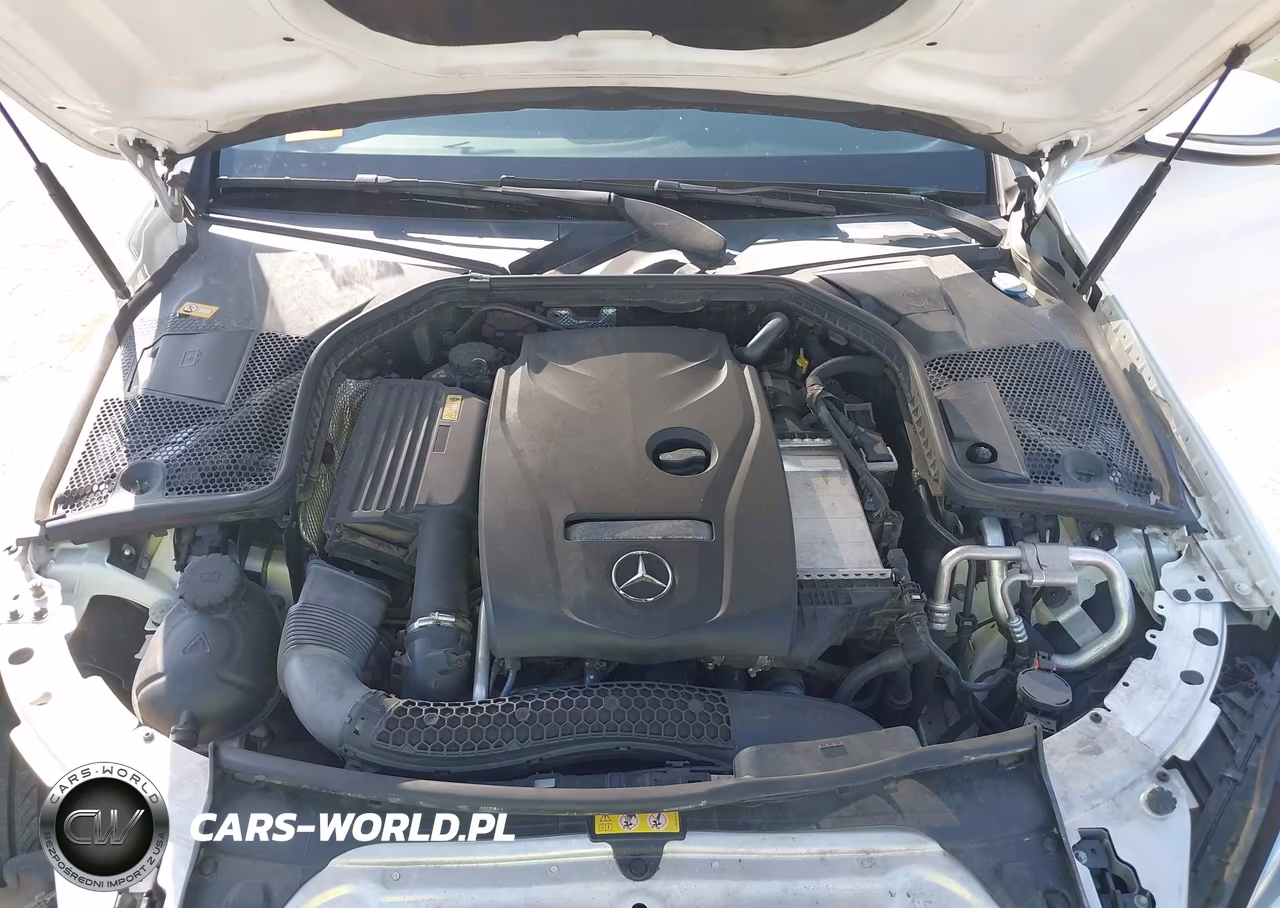 2016 Mercedes-Benz C 300 4Matic VIN:55SWF4KB5GU109384 - 10