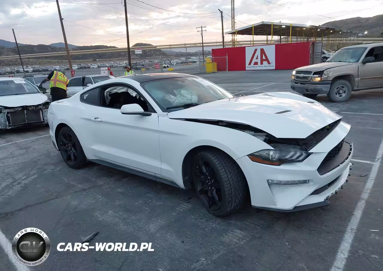 2019 Ford Mustang Ecoboost