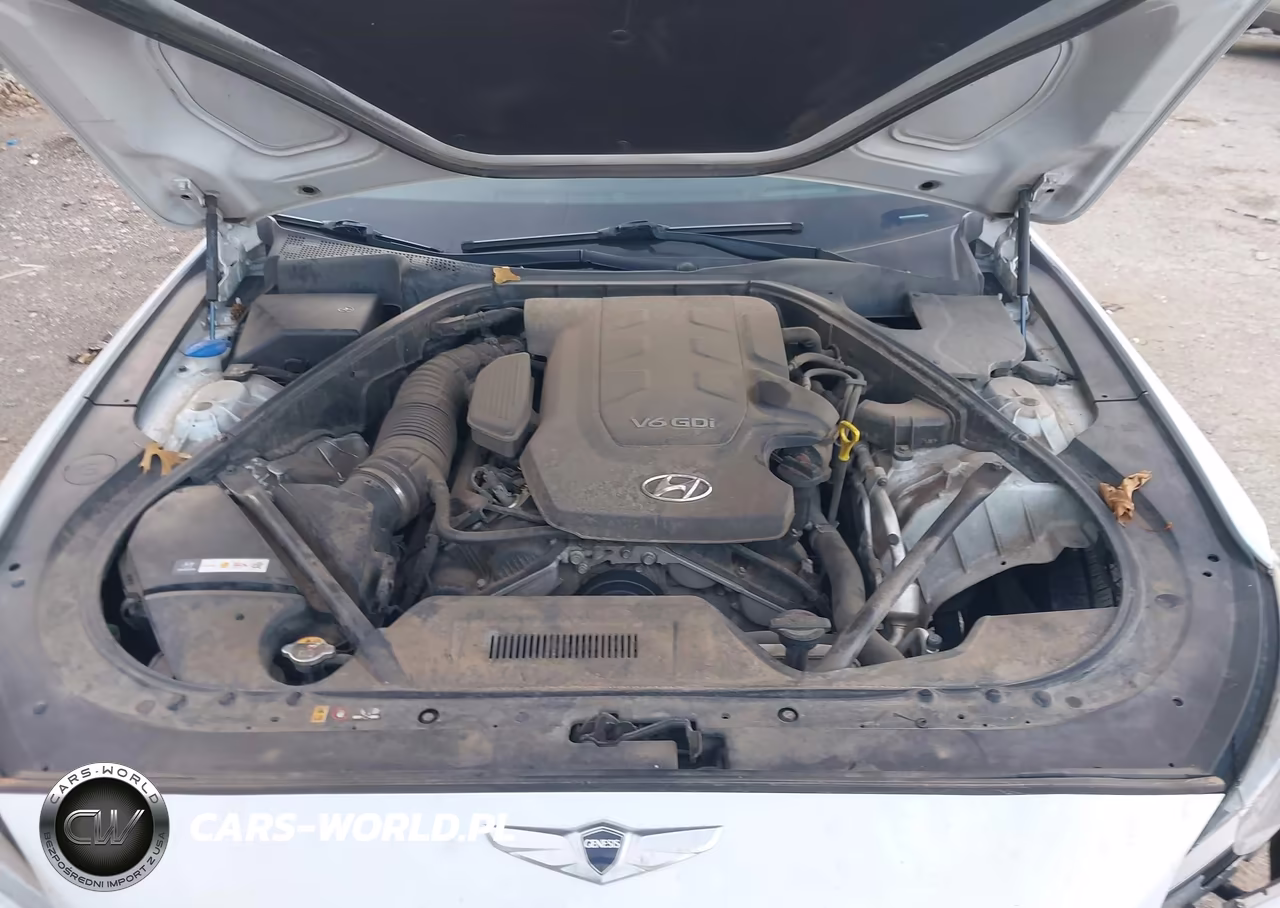 2015 Hyundai Genesis 3.8 VIN:KMHGN4JE7FU085238 - 10