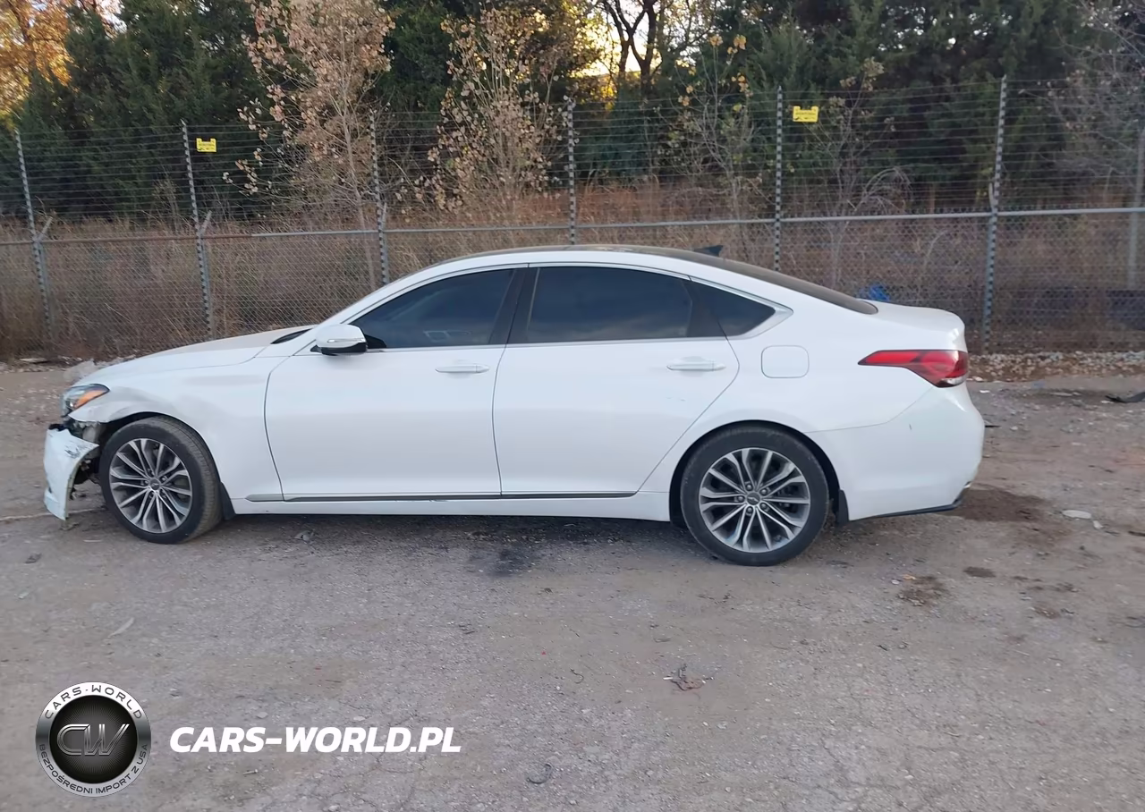 2015 Hyundai Genesis 3.8 VIN:KMHGN4JE7FU085238 - 14