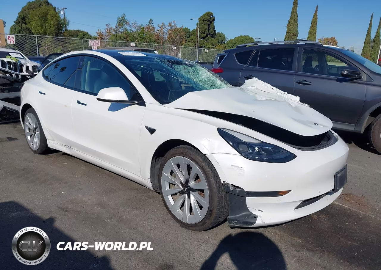 2022 Tesla Model 3 Rear-Wheel Drive