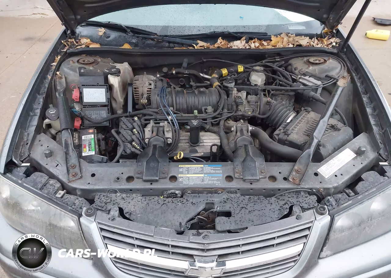 2005 Chevrolet Impala Ls VIN:2G1WH52K159192789 - 10