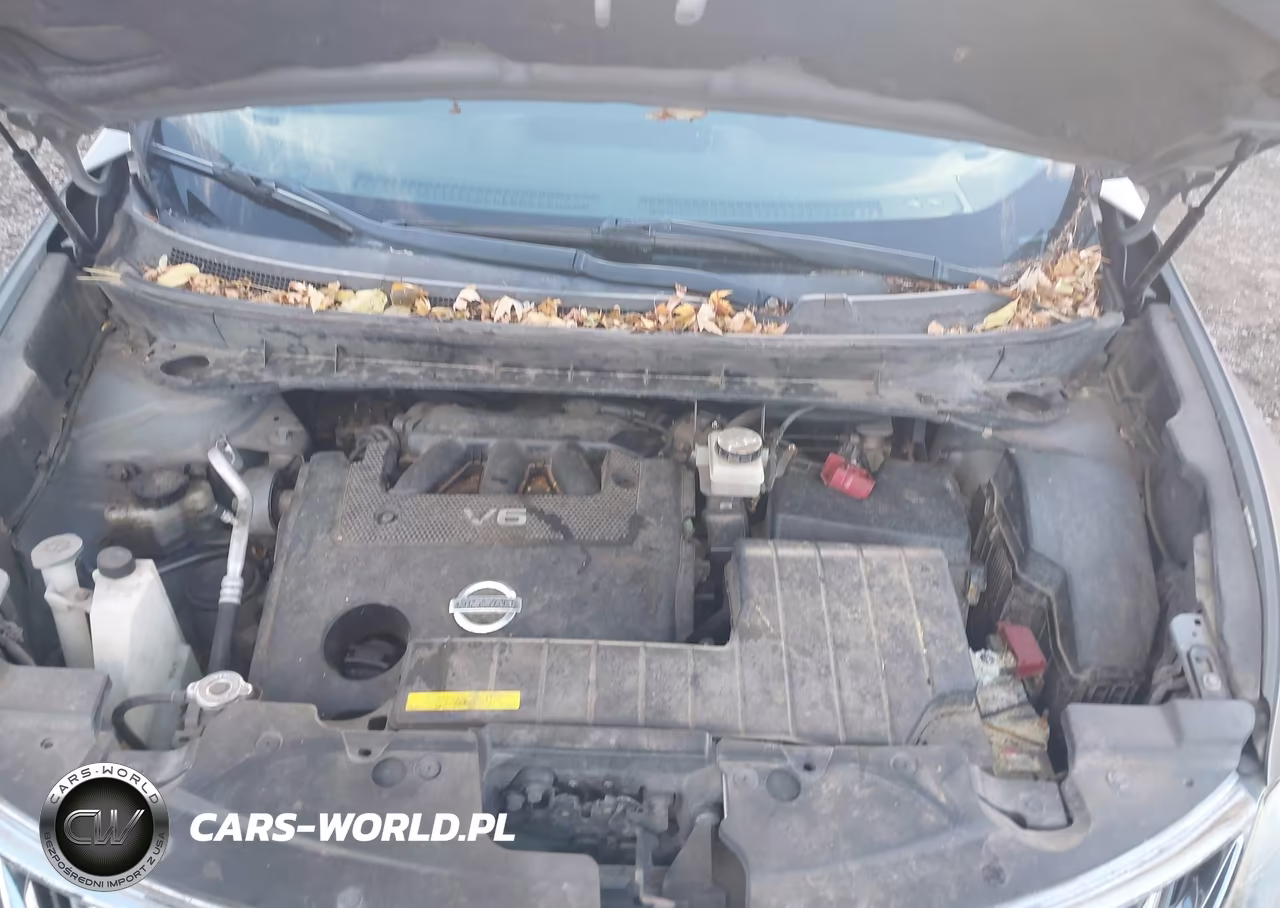 2009 Nissan Murano Le VIN:JN8AZ18W29W136783 - 10