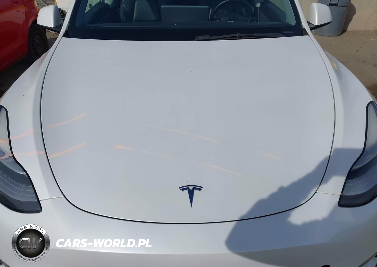 2021 Tesla Model Y Long Range Dual Motor All-Wheel Drive VIN:5YJYGDEE0MF161210 - 10