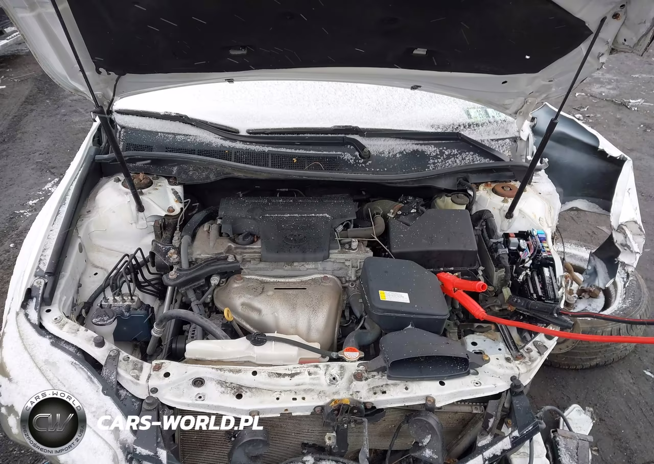 2016 Toyota Camry Se VIN:4T1BF1FK3GU201914 - 10