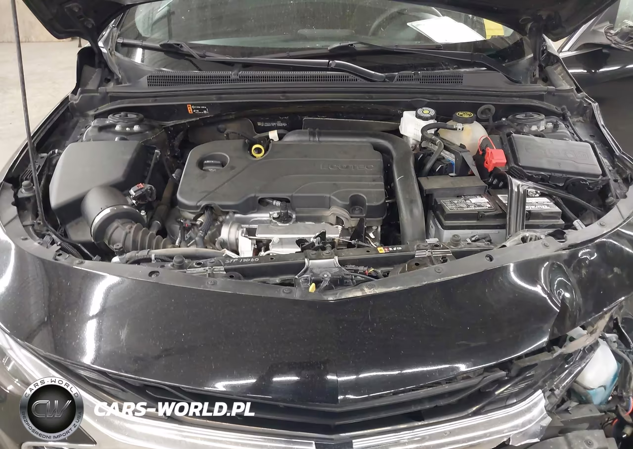 2023 Chevrolet Malibu Fwd 1Lt VIN:1G1ZD5ST6PF180648 - 10