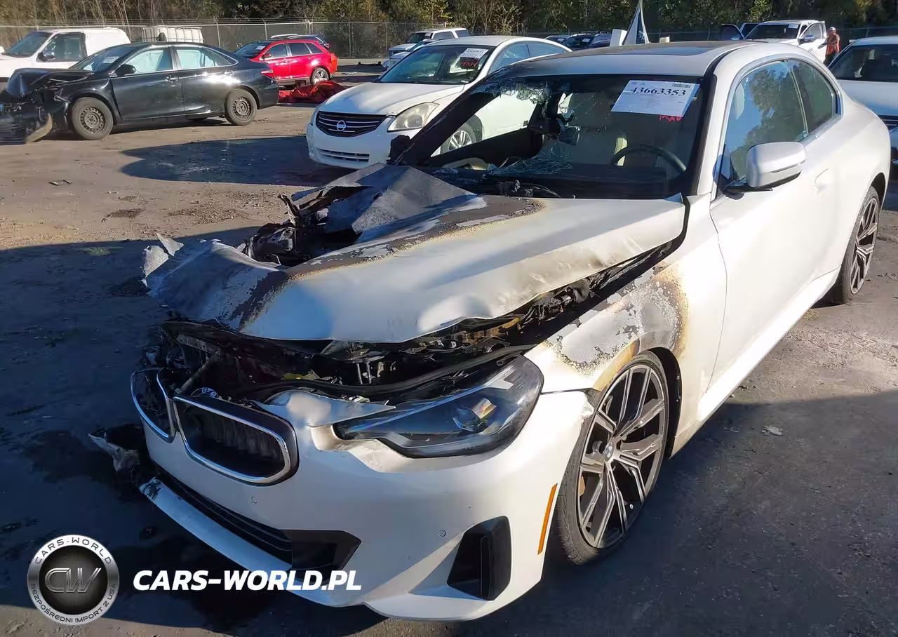 2023 BMW 230 I VIN:3MW23CM06P8D46448 - 11