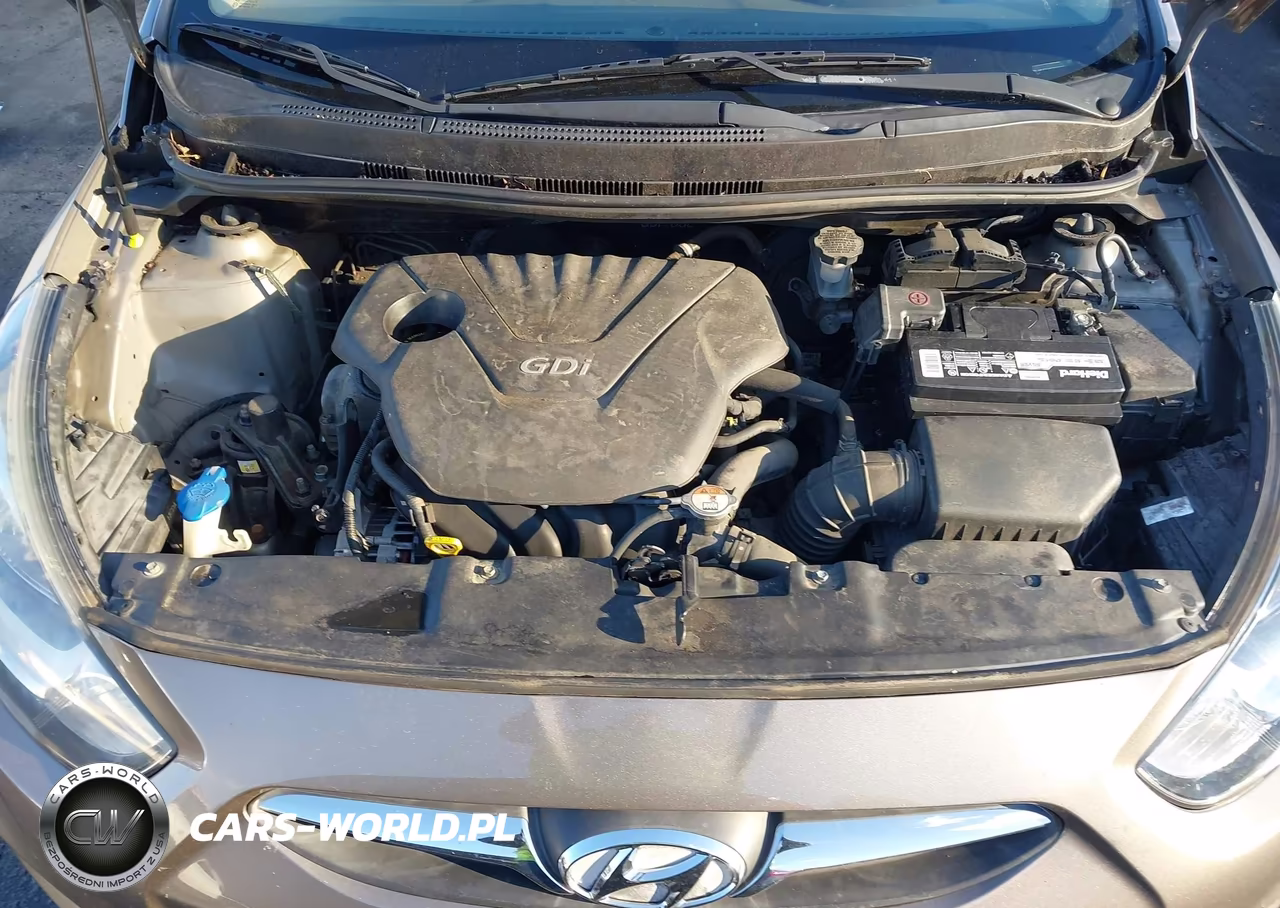 2014 Hyundai Accent Gls VIN:KMHCT4AE6EU631627 - 10