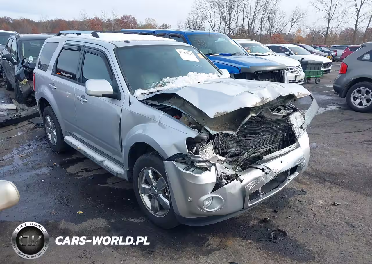 2010 Ford Escape Limited