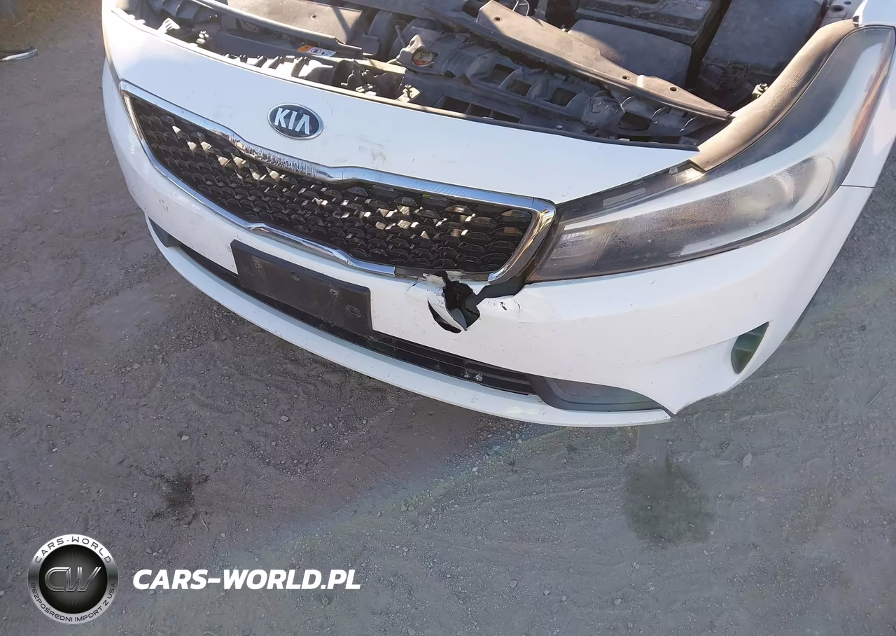 2017 Kia Forte Lx VIN:3KPFK4A71HE069760 - 14