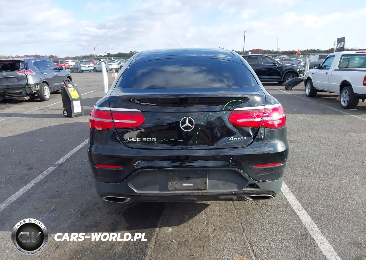 2019 Mercedes-Benz Glc 300 Coupe 4Matic VIN:WDC0J4KBXKF636597 - 16