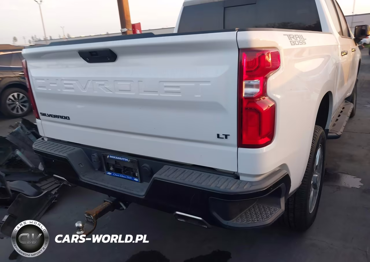 2019 Chevrolet Silverado 1500 Lt Trail Boss VIN:3GCPYFED3KG118077 - 17