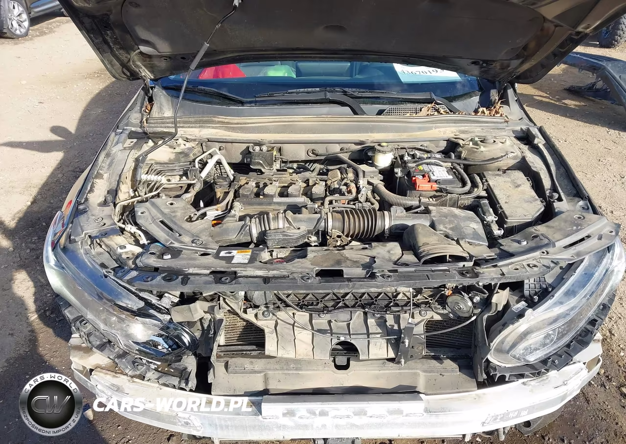 2019 Honda Accord Lx VIN:1HGCV1F16KA172472 - 10