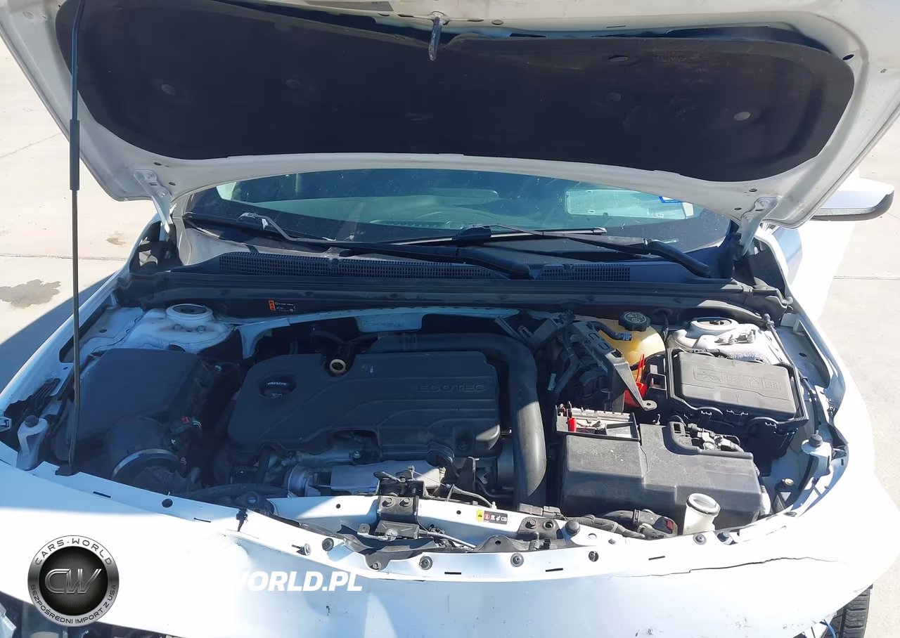 2019 Chevrolet Malibu Lt VIN:1G1ZD5ST4KF139377 - 10