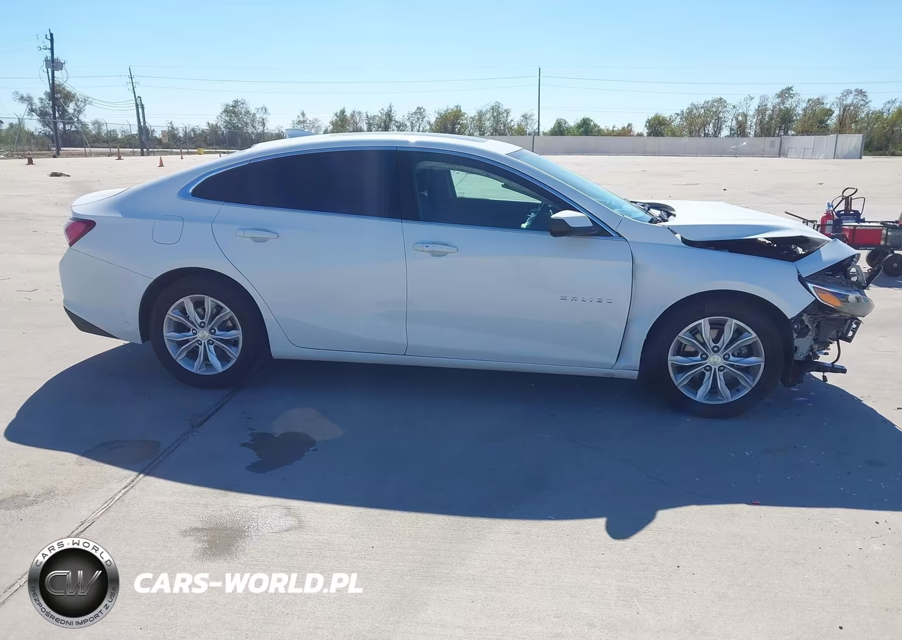 2019 Chevrolet Malibu Lt VIN:1G1ZD5ST4KF139377 - 13