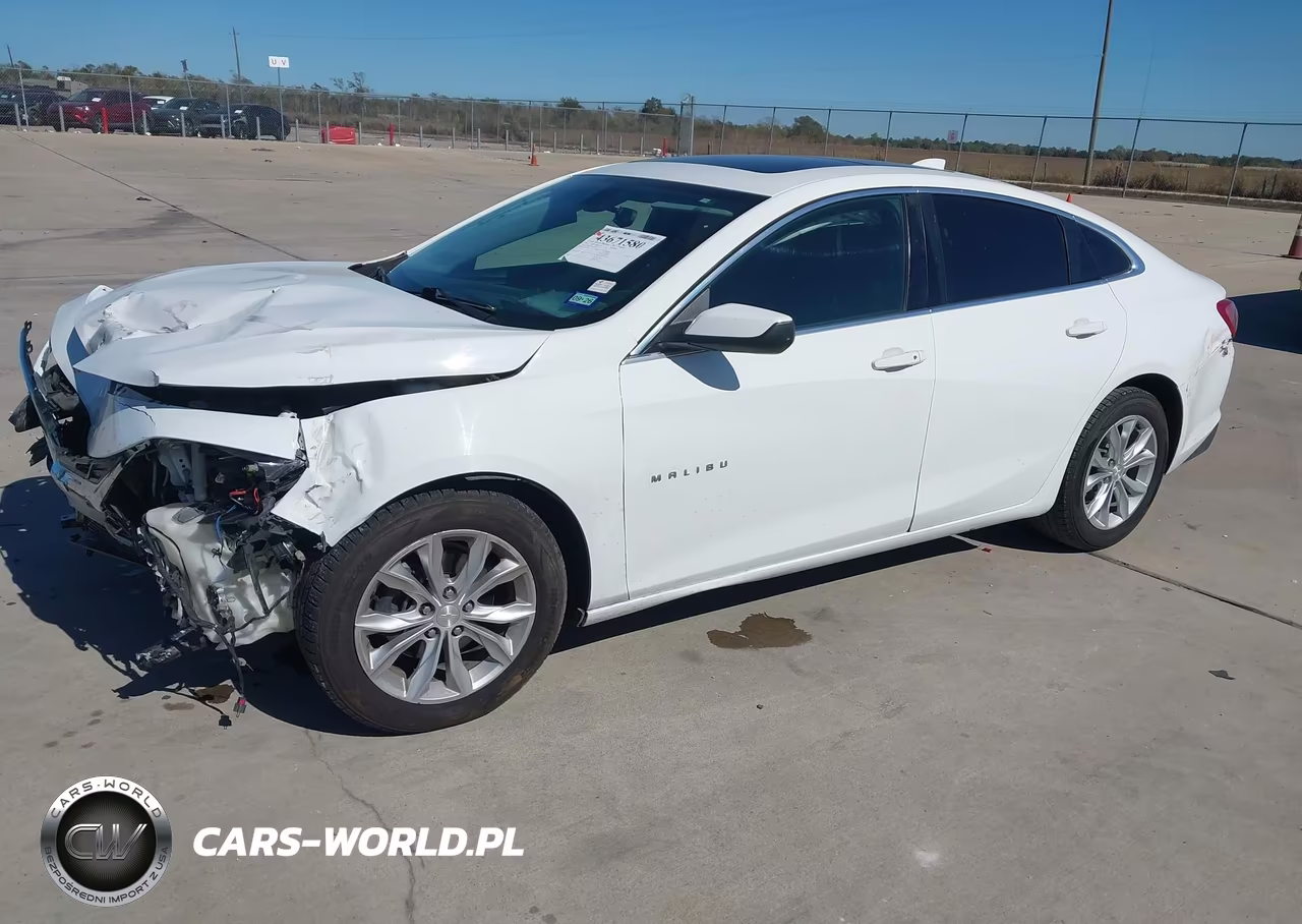 2019 Chevrolet Malibu Lt VIN:1G1ZD5ST4KF139377 - 2
