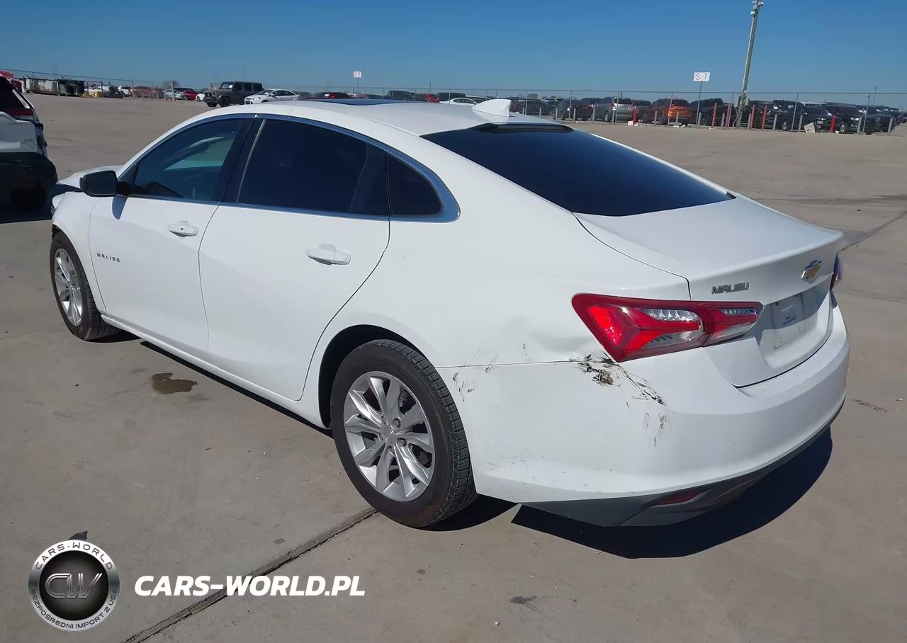 2019 Chevrolet Malibu Lt VIN:1G1ZD5ST4KF139377 - 3