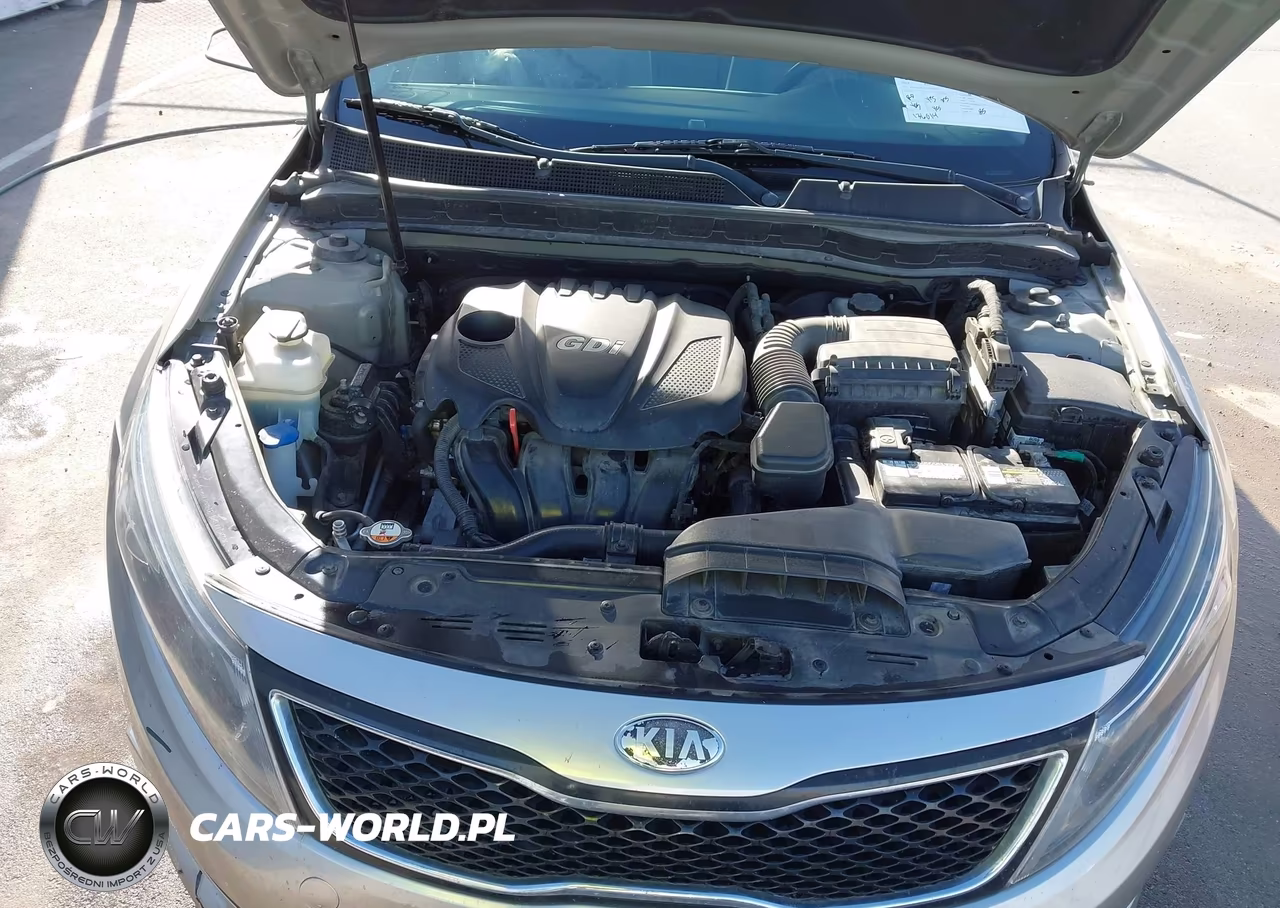 2014 Kia Optima Lx VIN:KNAGM4A73E5453042 - 10