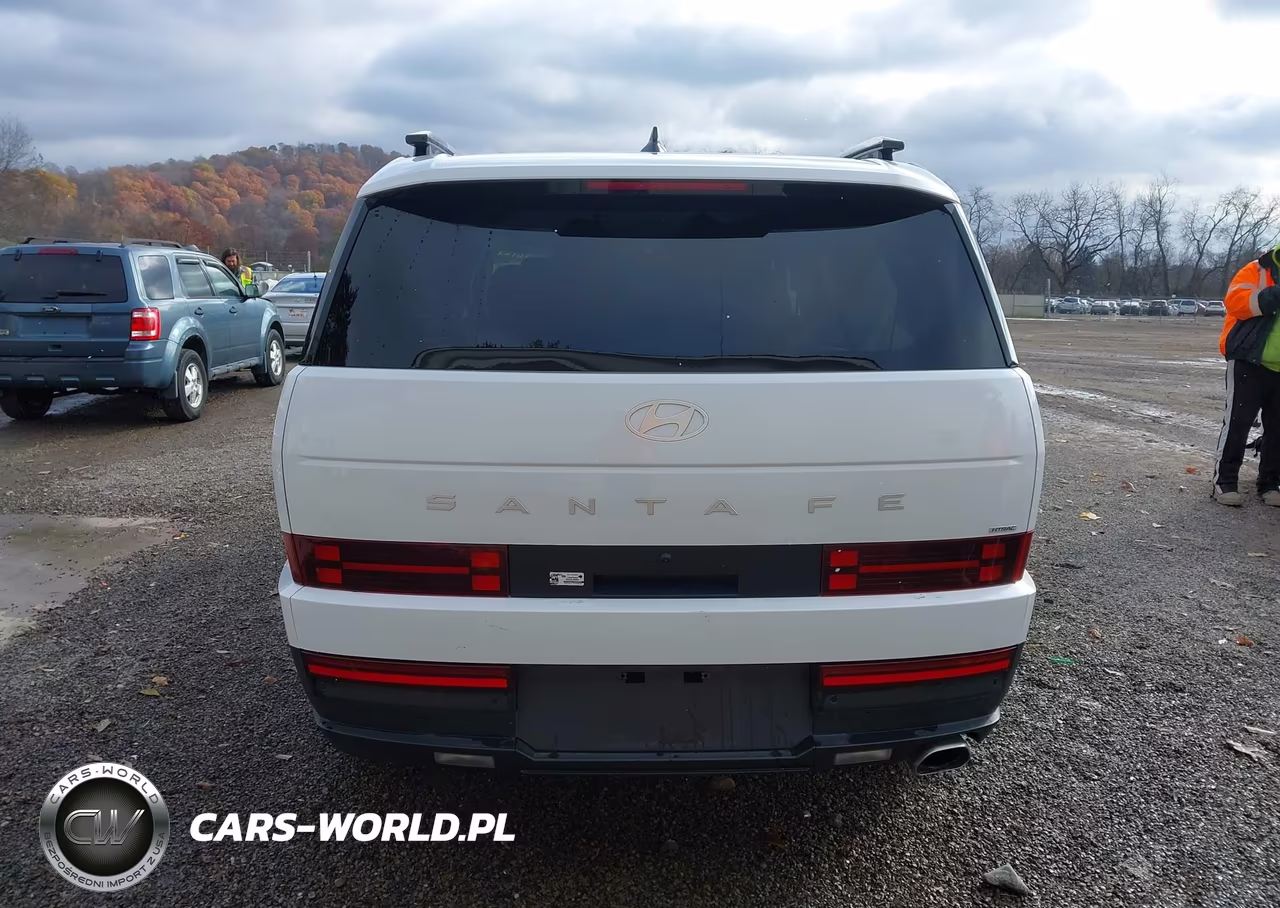 2025 Hyundai Santa Fe Sel VIN:5NMP2DGL1SH120201 - 17