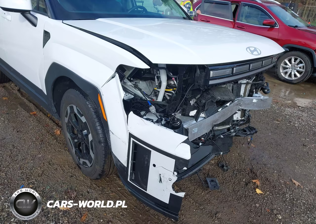 2025 Hyundai Santa Fe Sel VIN:5NMP2DGL1SH120201 - 19