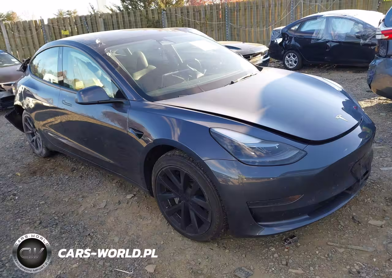 2023 Tesla Model 3 Rear-Wheel Drive