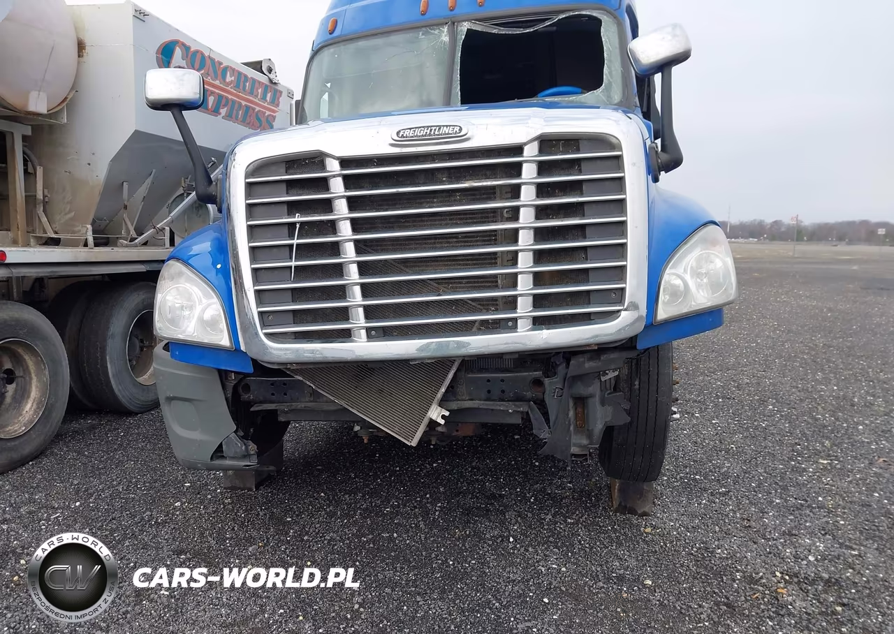 2017 Freightliner Cascadia 125 VIN:3AKJGLDR1HSHX3225 - 10
