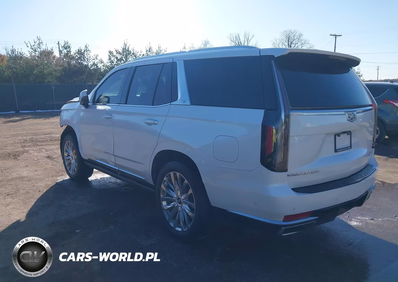 2021 Cadillac Escalade 4Wd Premium Luxury VIN:1GYS4CKL7MR246268 - 3