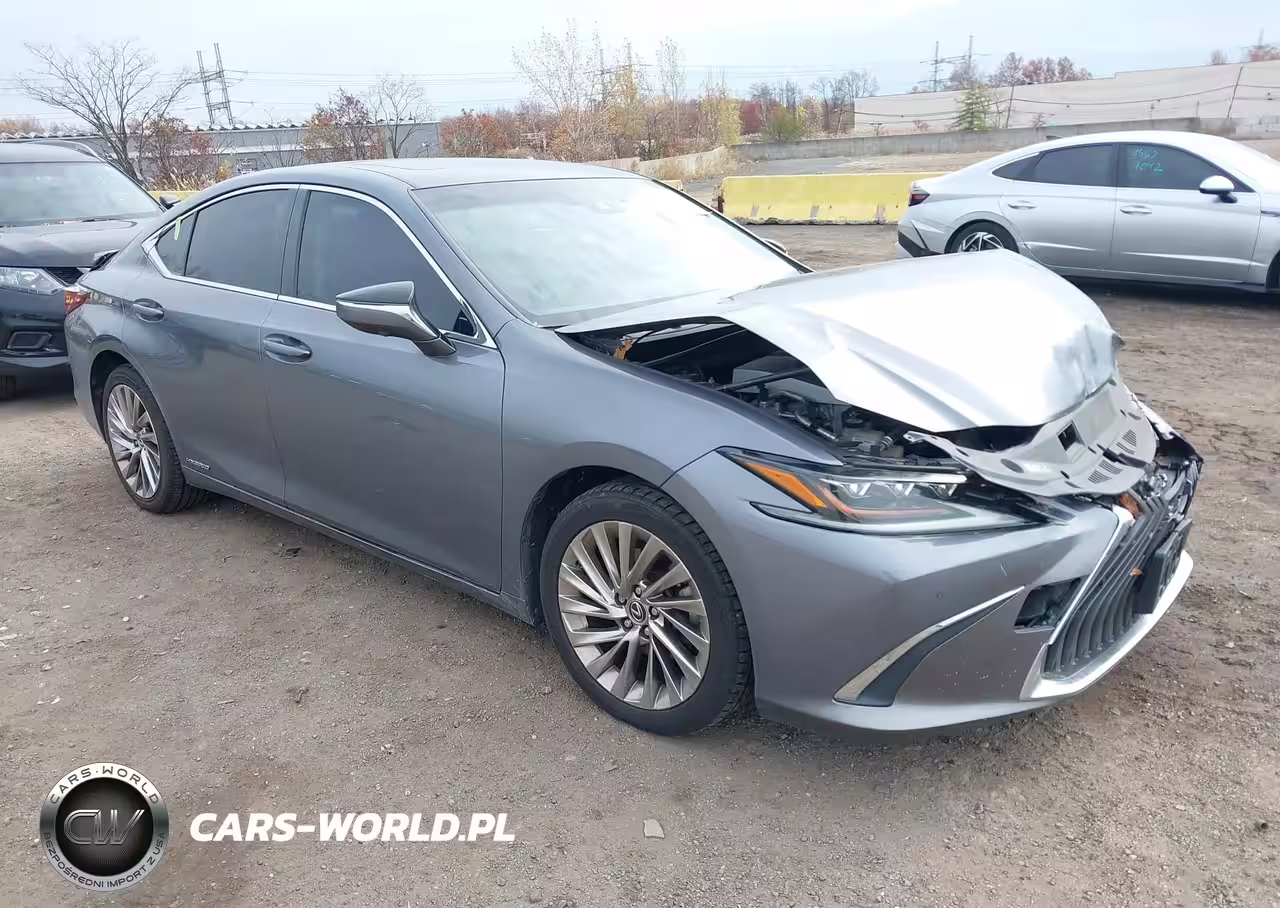 2019 Lexus Es 300H Luxury