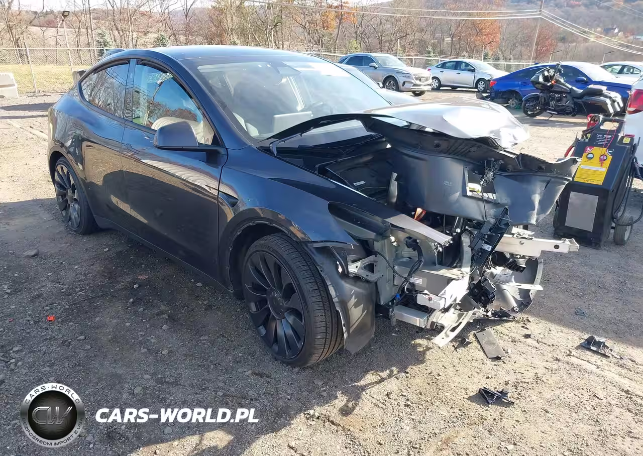 2024 Tesla Model Y Performance Dual Motor All-Wheel Drive