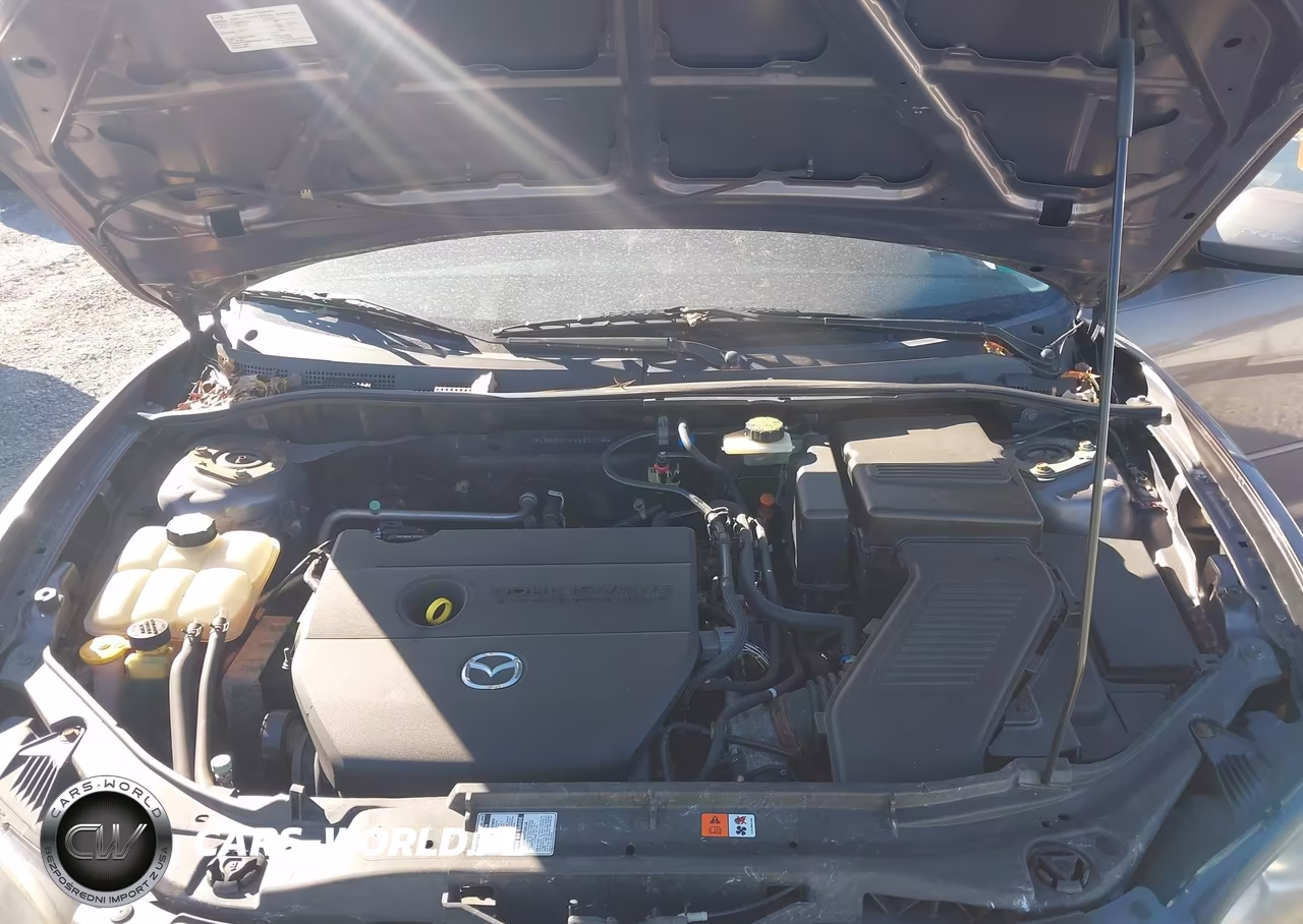 2009 Mazda Mazda3 I VIN:JM1BK32F991217589 - 10