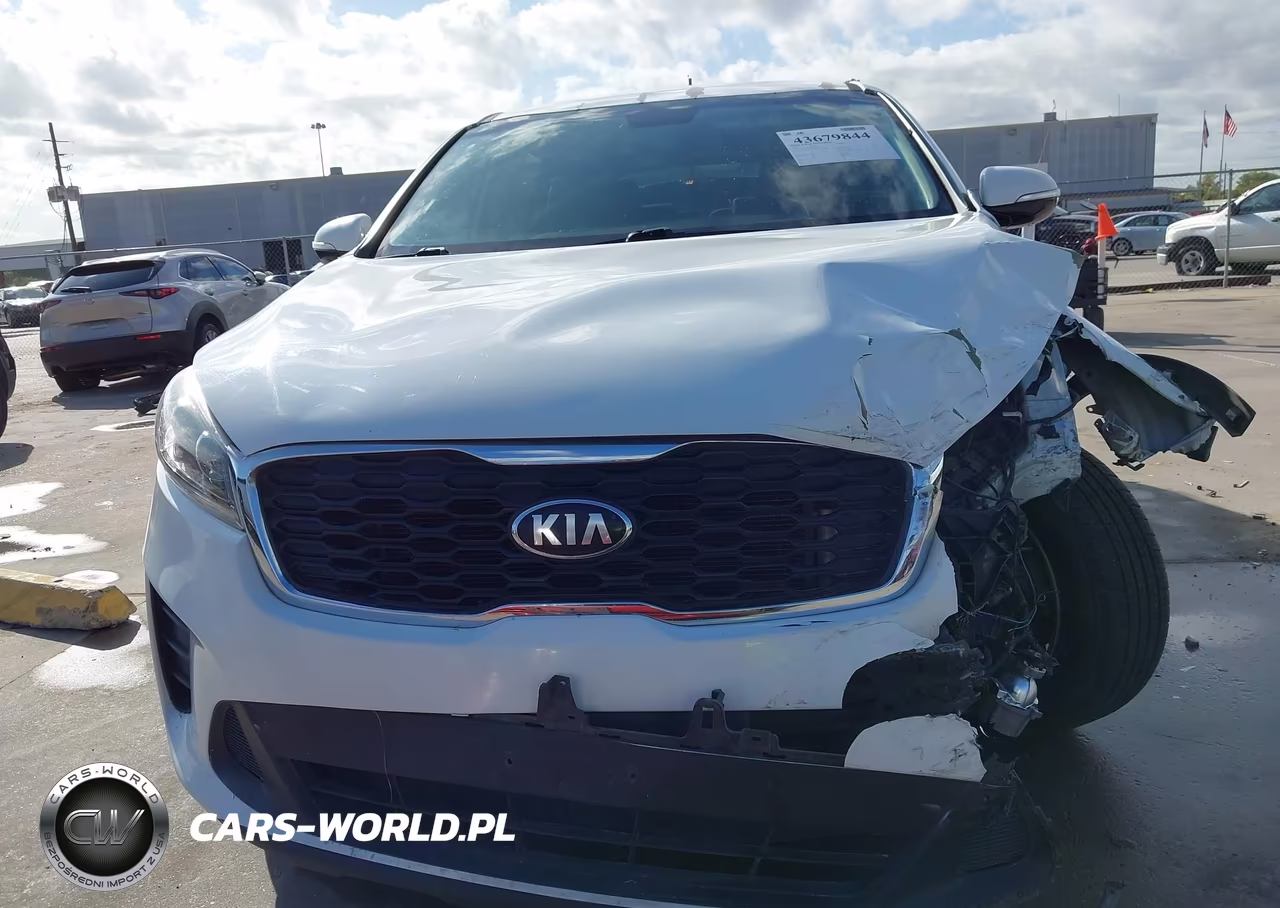 2020 Kia Sorento 3.3L Lx VIN:5XYPG4A53LG616432 - 13