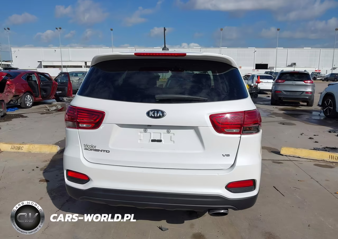2020 Kia Sorento 3.3L Lx VIN:5XYPG4A53LG616432 - 17
