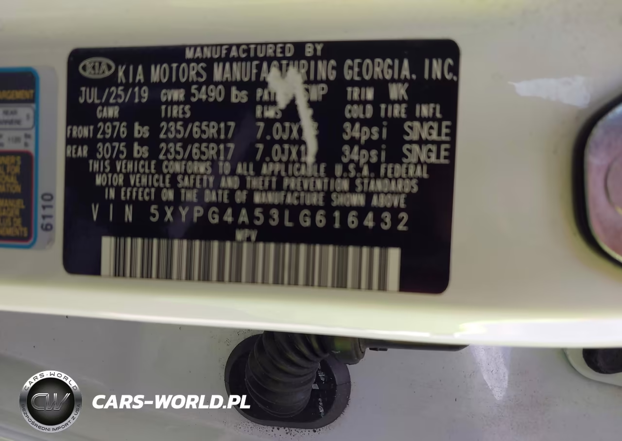 2020 Kia Sorento 3.3L Lx VIN:5XYPG4A53LG616432 - 9
