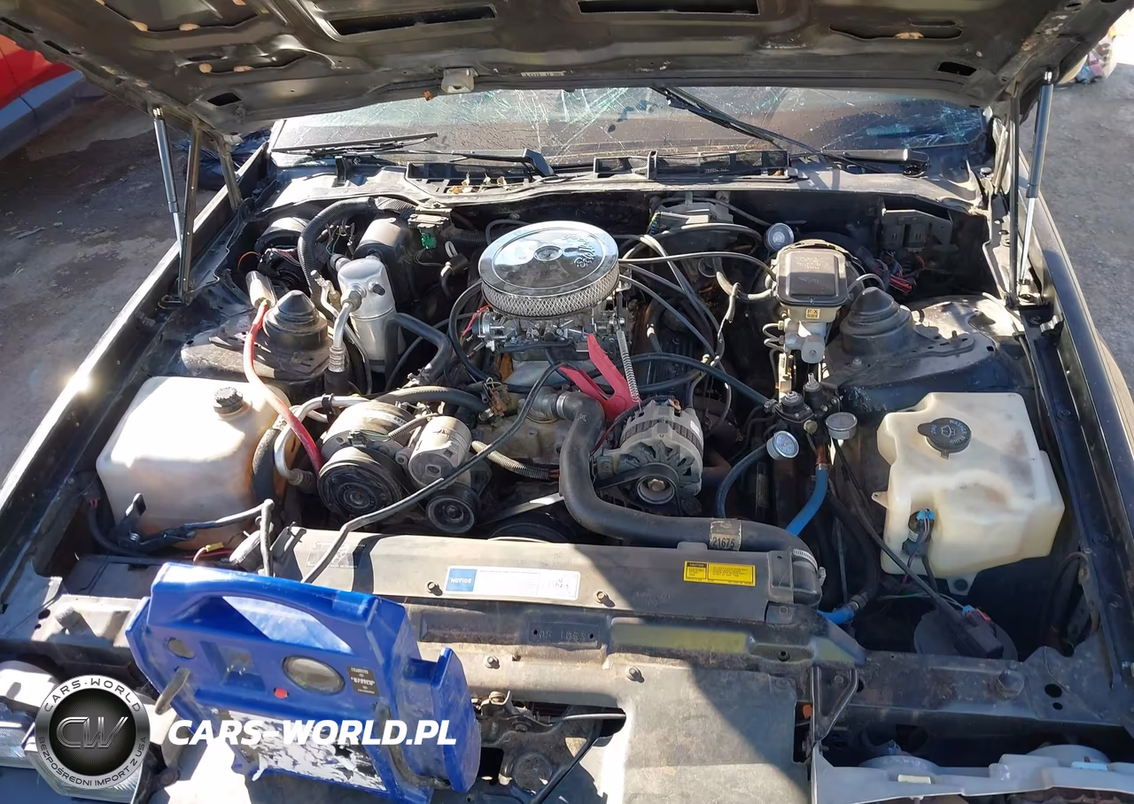1991 Chevrolet Camaro Rs VIN:1G1FP23E3ML131431 - 10