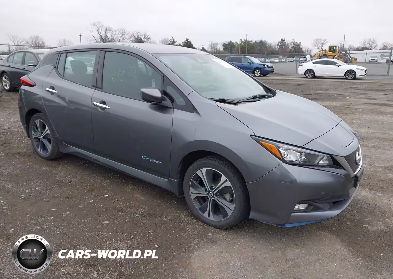 2019 Nissan Leaf Sv Plus