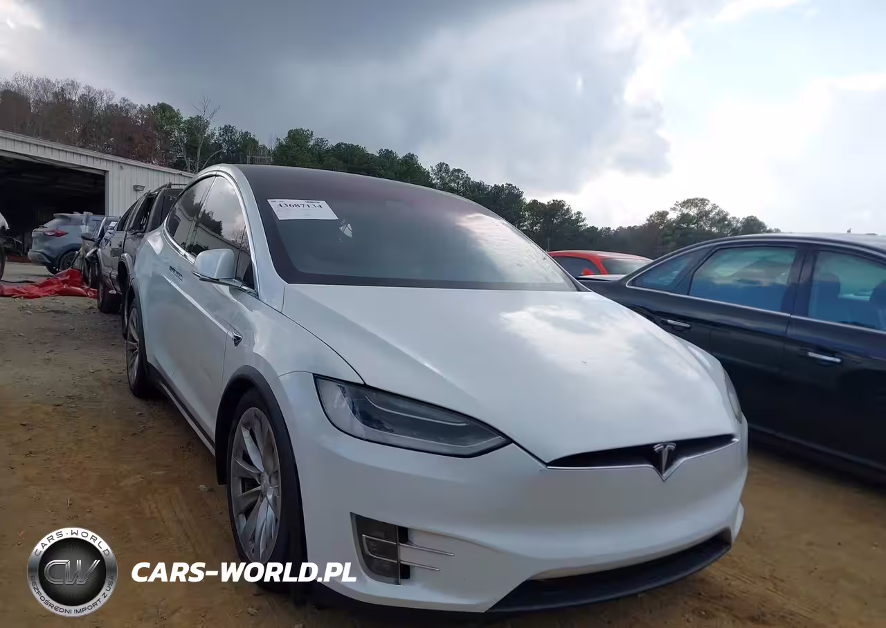 2017 Tesla Model X 100D-75D-90D