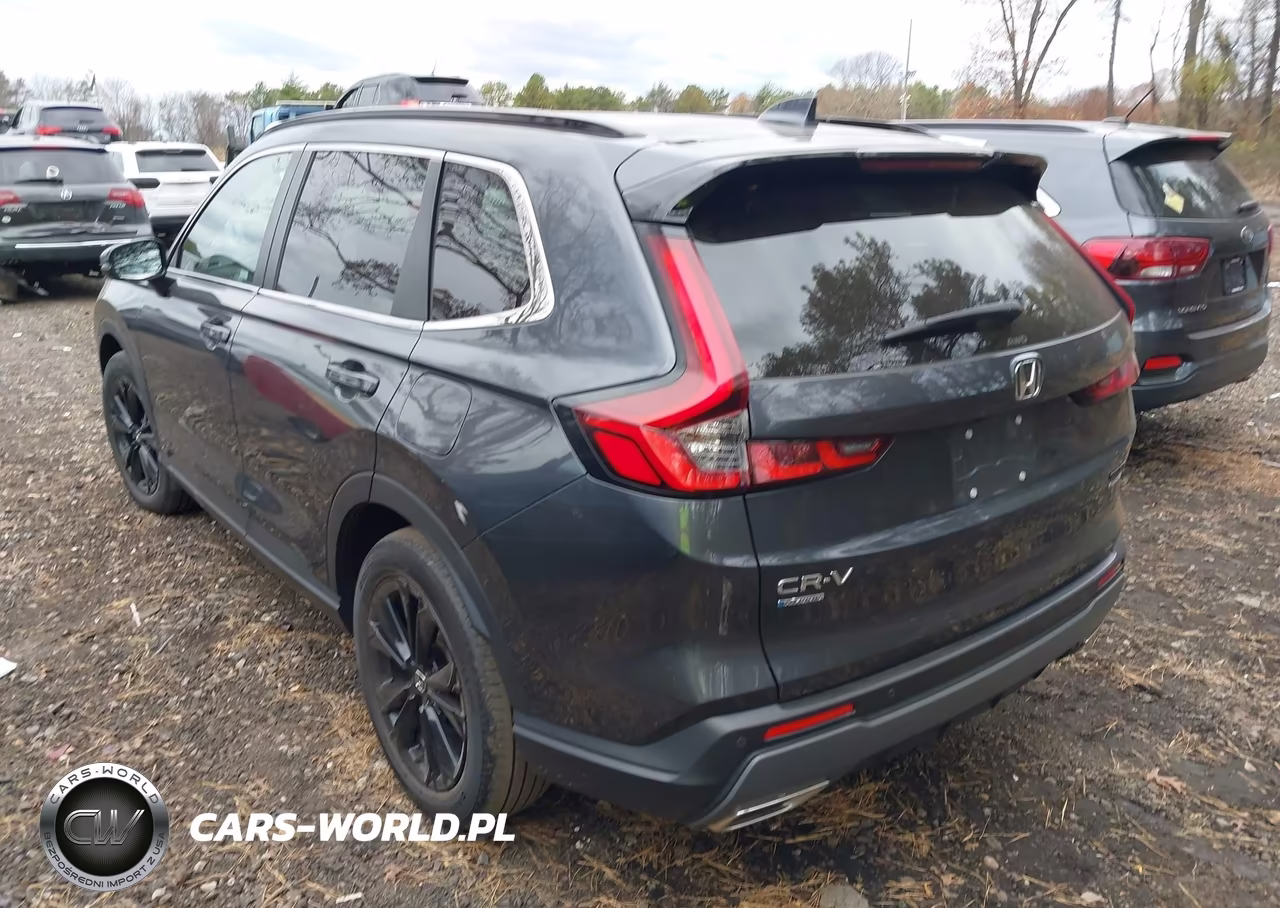 2024 Honda Cr-V Hybrid Sport Touring VIN:7FARS6H91RE015990 - 6