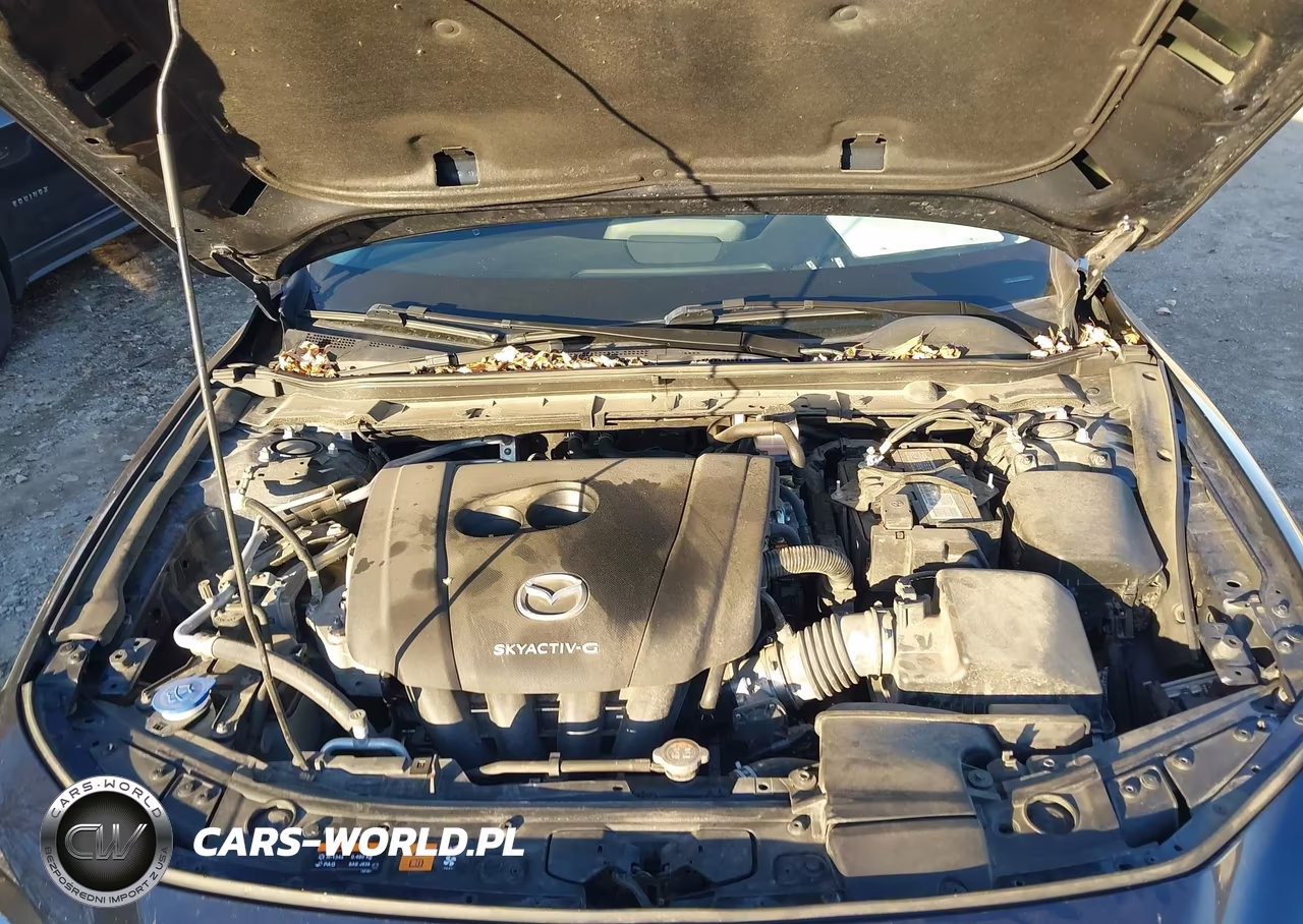 2020 Mazda Mazda3 VIN:3MZBPABL9LM130312 - 10