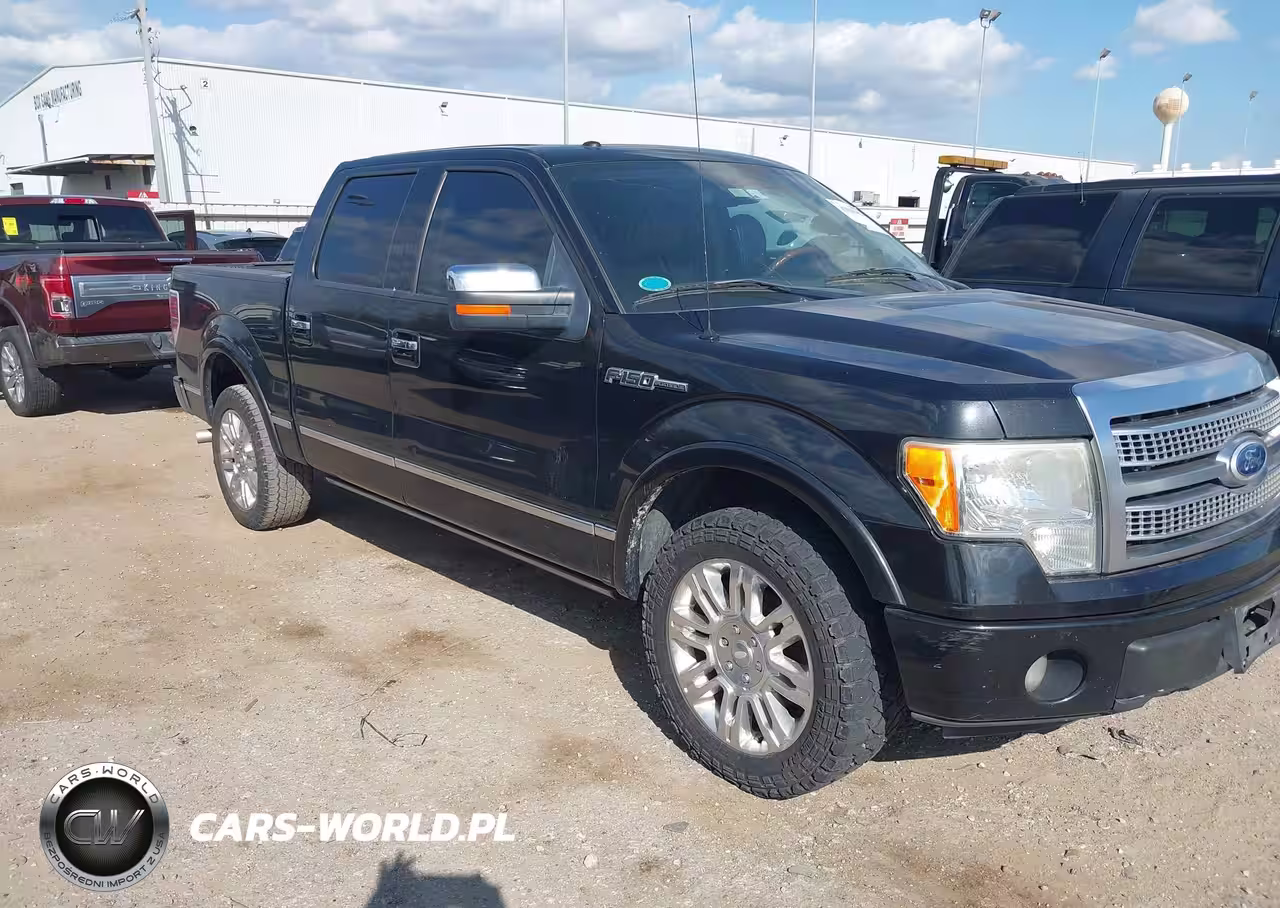 2010 Ford F-150 Platinum