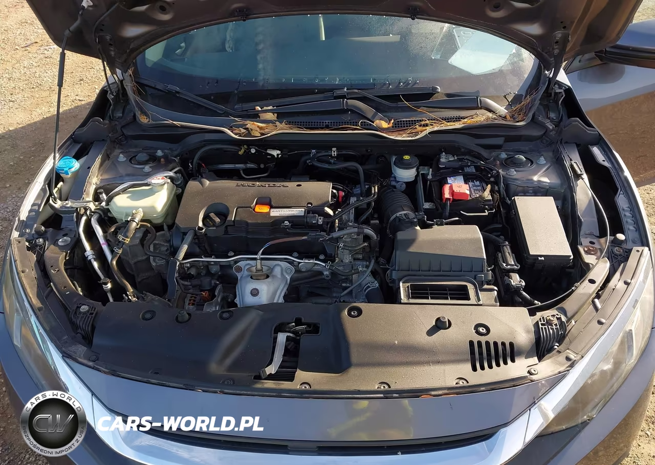 2017 Honda Civic Lx VIN:19XFC2F55HE007349 - 10