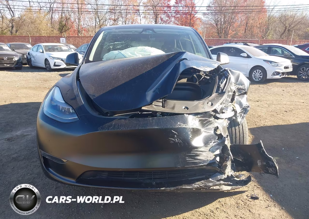 2024 Tesla Model Y Long Range Dual Motor All-Wheel Drive VIN:7SAYGDEE8RA237988 - 12