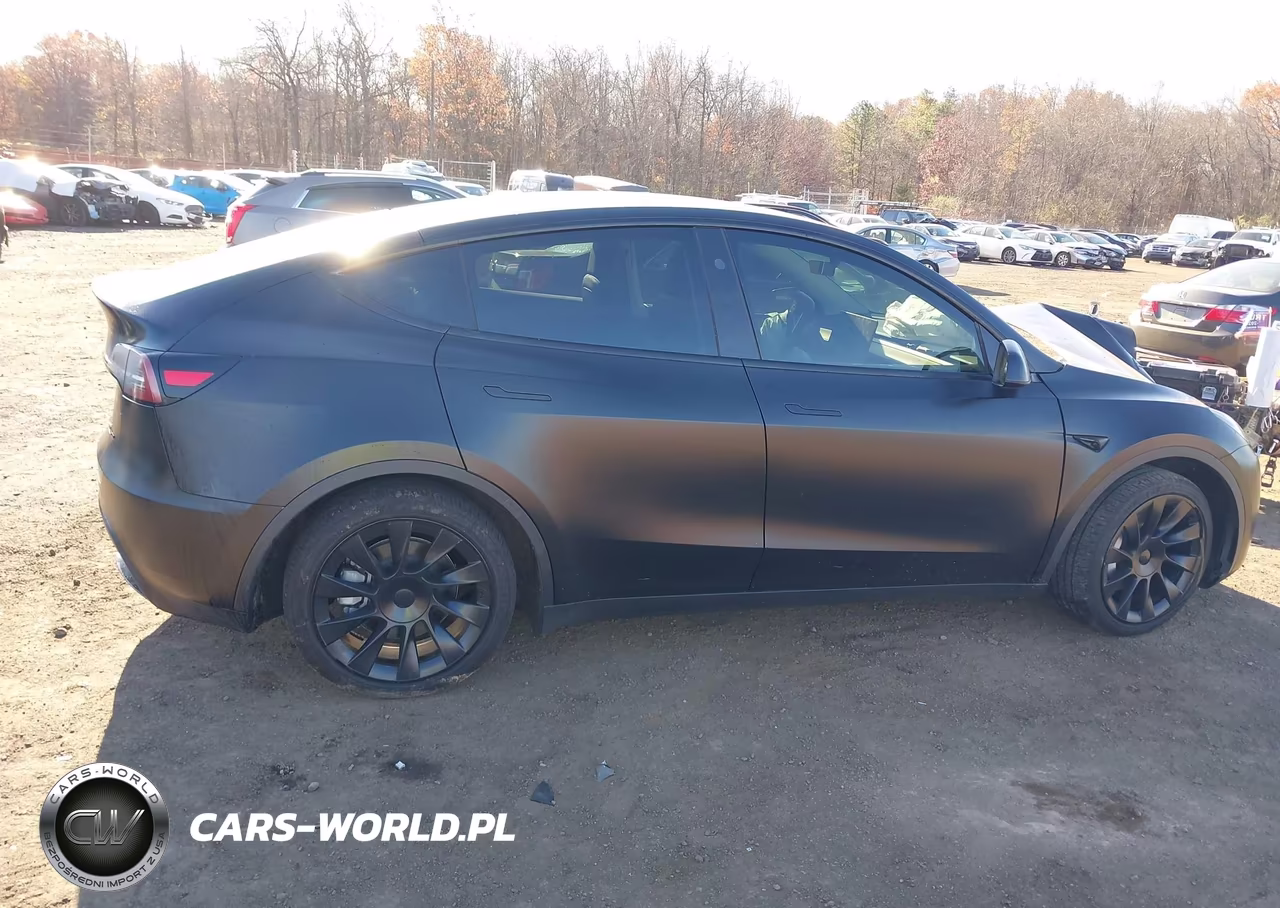 2024 Tesla Model Y Long Range Dual Motor All-Wheel Drive VIN:7SAYGDEE8RA237988 - 13