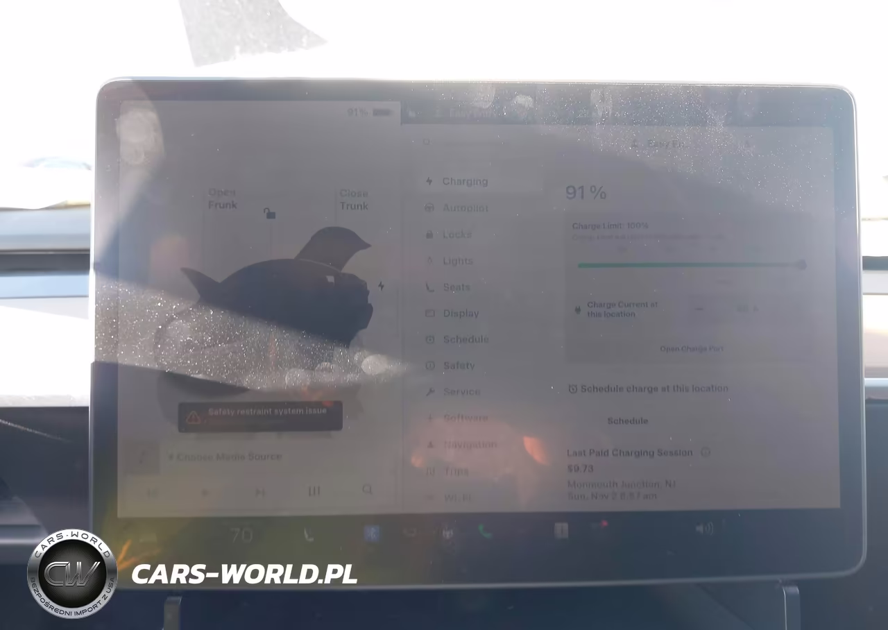 2024 Tesla Model Y Long Range Dual Motor All-Wheel Drive VIN:7SAYGDEE8RA237988 - 17