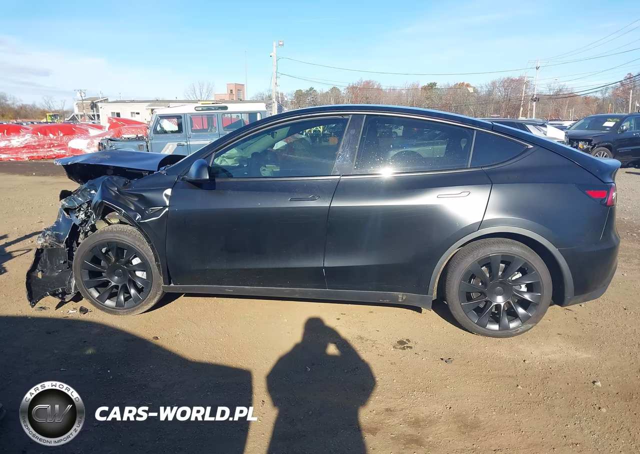 2024 Tesla Model Y Long Range Dual Motor All-Wheel Drive VIN:7SAYGDEE8RA237988 - 19