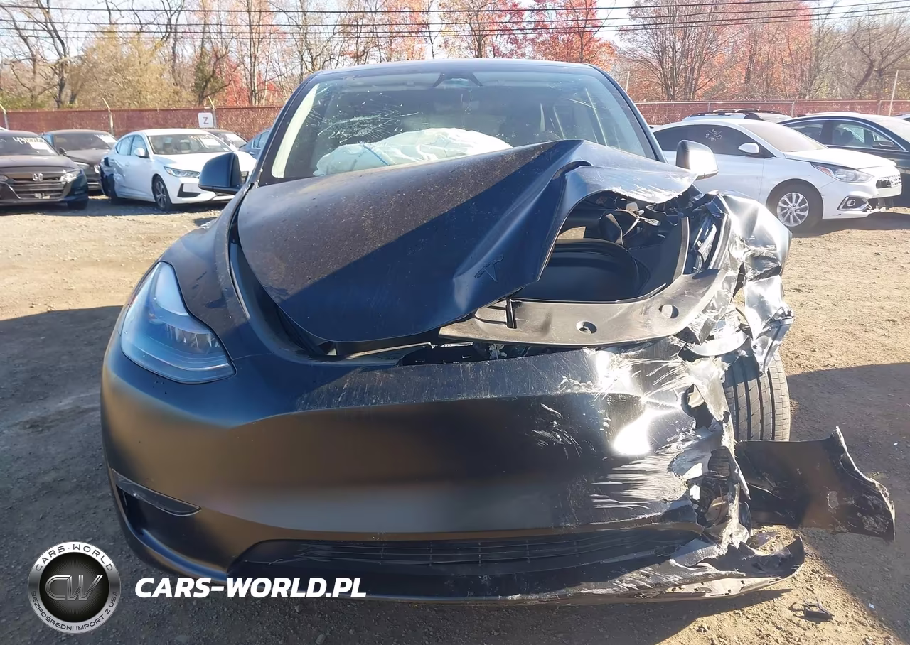 2024 Tesla Model Y Long Range Dual Motor All-Wheel Drive VIN:7SAYGDEE8RA237988 - 20