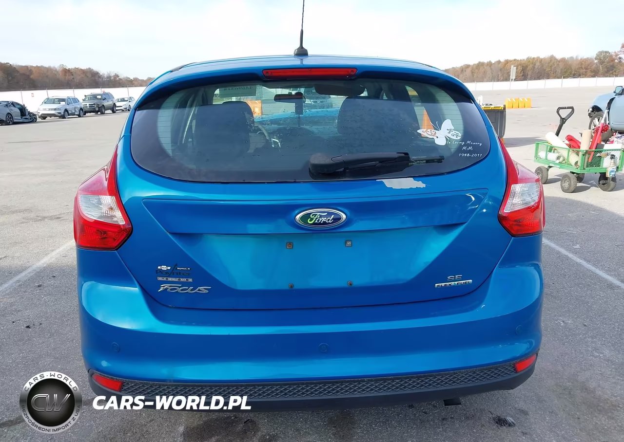 2014 Ford Focus Se VIN:1FADP3K29EL286200 - 16