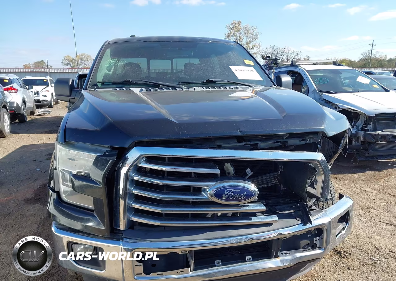 2015 Ford F-150 Xlt VIN:1FTEW1CP9FKF16132 - 13