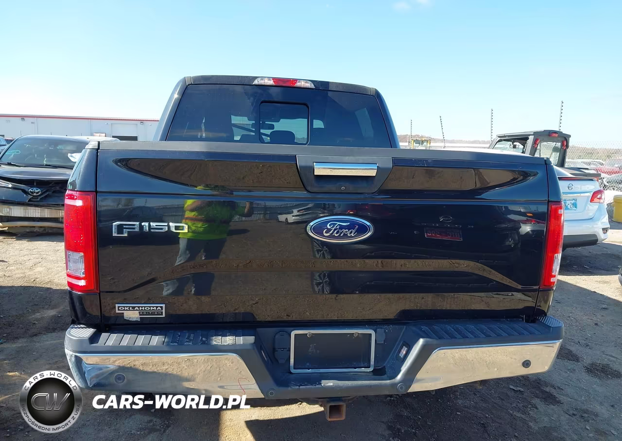 2015 Ford F-150 Xlt VIN:1FTEW1CP9FKF16132 - 17