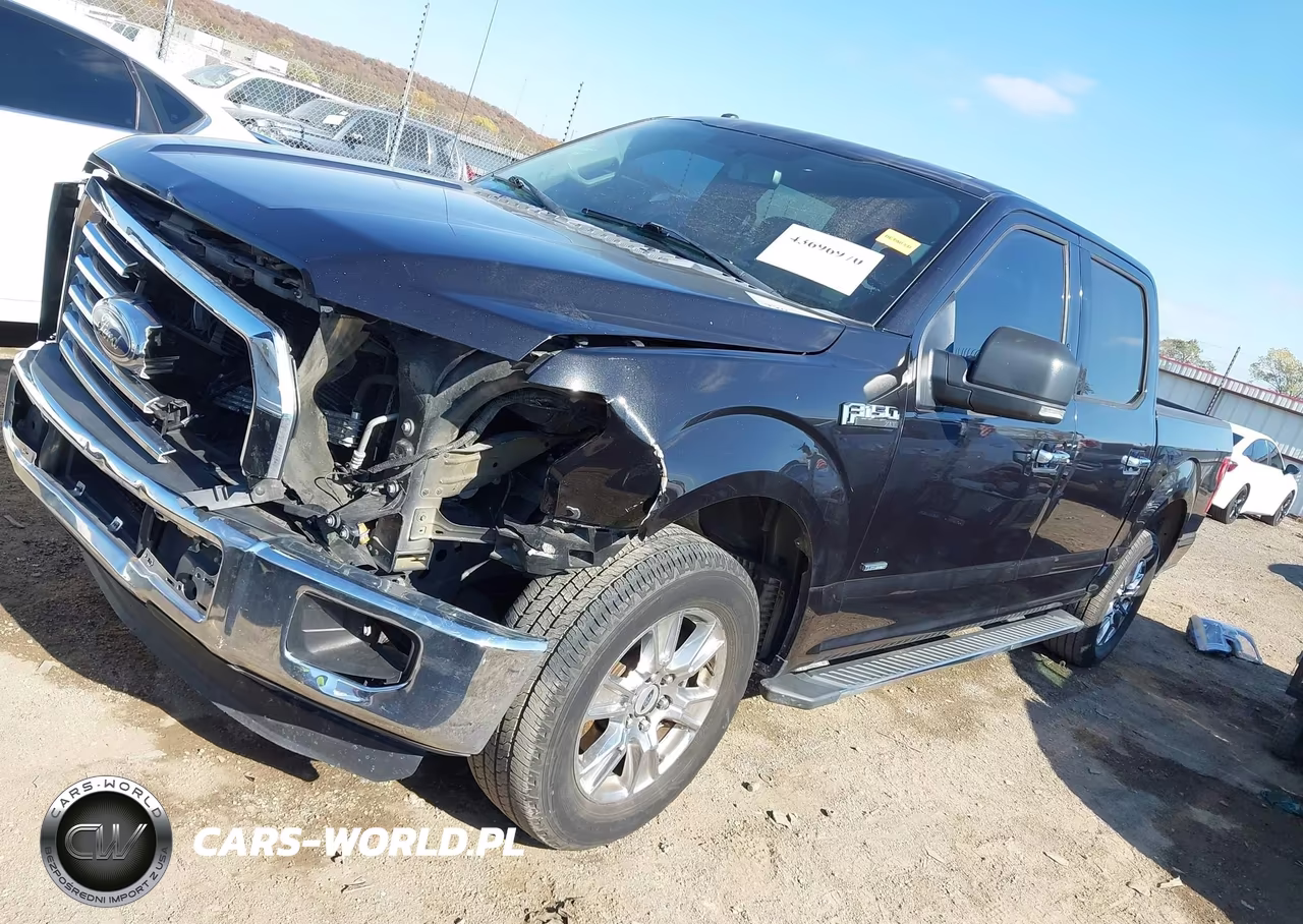 2015 Ford F-150 Xlt VIN:1FTEW1CP9FKF16132 - 2