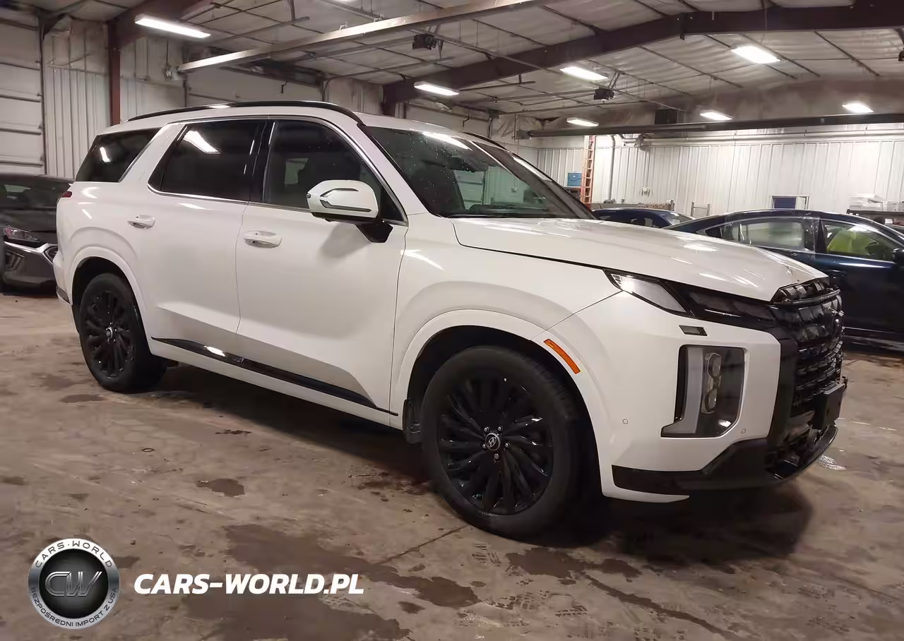 2025 Hyundai Palisade Calligraphy Night Edition
